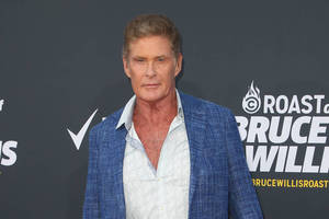 David Hasselhoff Bild von David Hasselhoff