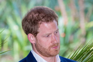 Prinz Harry Bild von Prinz Harry