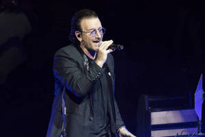 Bono Bild von Bono