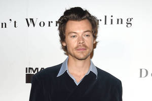 Bild von Harry Styles