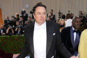 Bild von Elon Musk