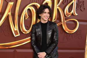 Bild von Timothée Chalamet